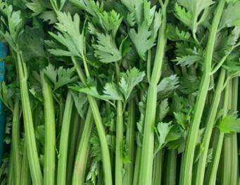 买回来樱桃如何在冰箱保鲜存放,樱桃怎样储存在冰箱里能保鲜多久