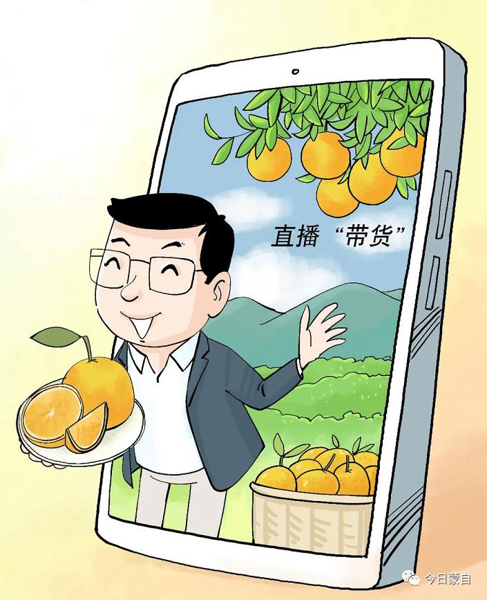 云南蒙自副市长,5000万粉丝直播1小时带货多少单