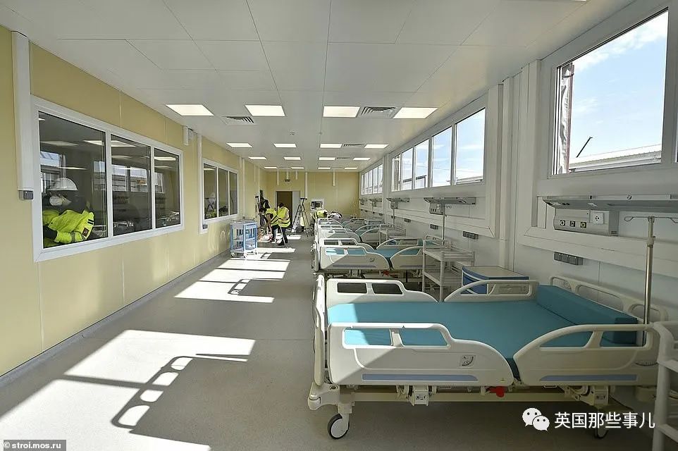 近期俄罗斯飞机情况,俄罗斯航班最新事件