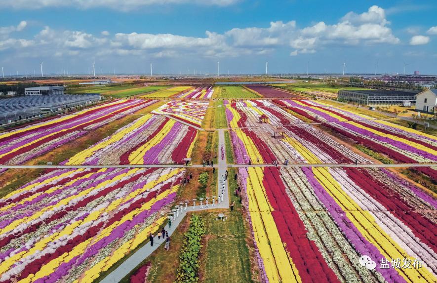 盐城市农村改造何时全面推进,盐城农村房屋加固改造