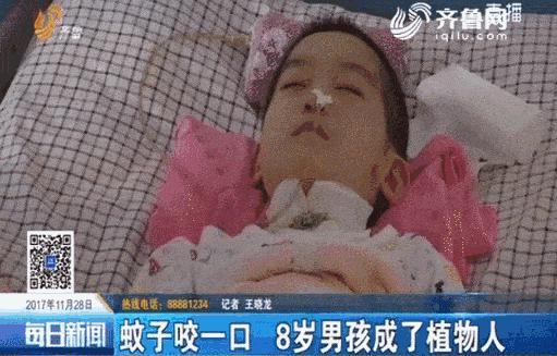 日本人驱蚊产品,日本人灭蚊