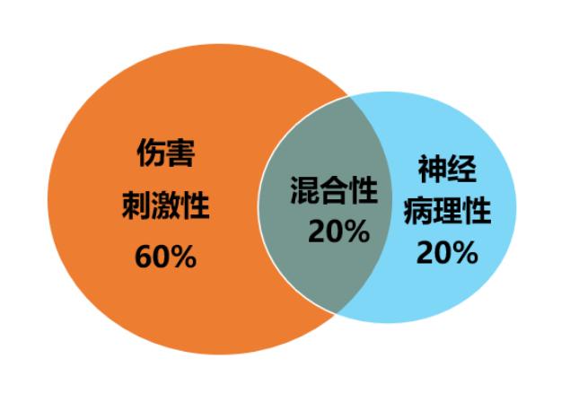 临床必备|癌症神经病理性疼痛的发病机制、临床表现和药物治疗