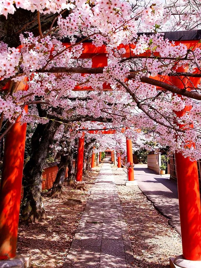 值得入手的几款提升幸福感的好物,日系提升幸福感的好物