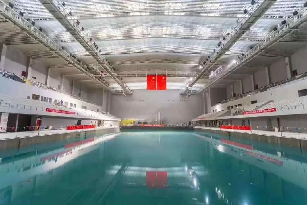 奥体热搜Top8，安安一次全回答～