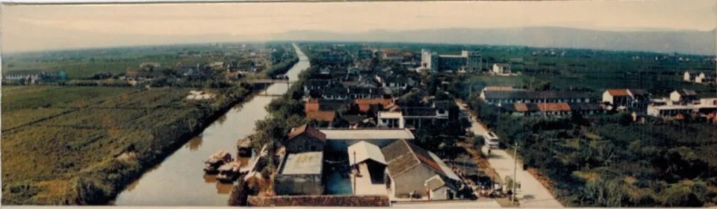 浦东新区曹路镇发展,曹路镇生活日记视频