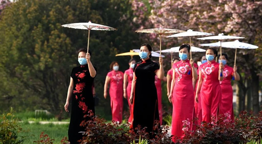 石家庄的春天真的太美啦,石家庄春天看花