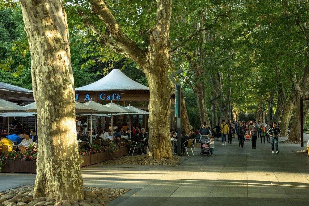 北京春季和秋季花粉过敏哪个厉害,预防花粉皮肤过敏的正确方法