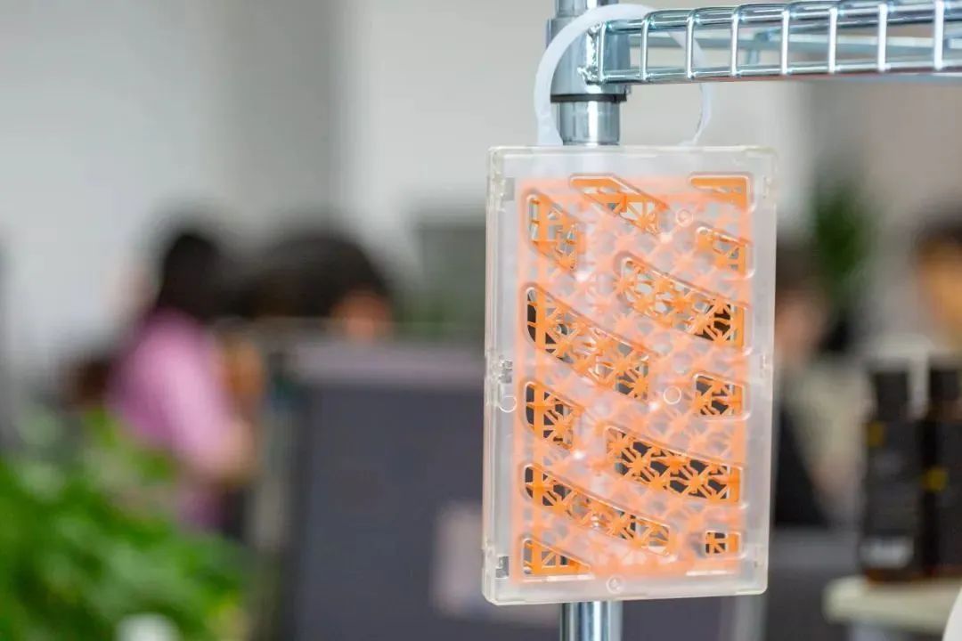 被疯抢的隐形蚊帐，随手一挂，蚊子全无