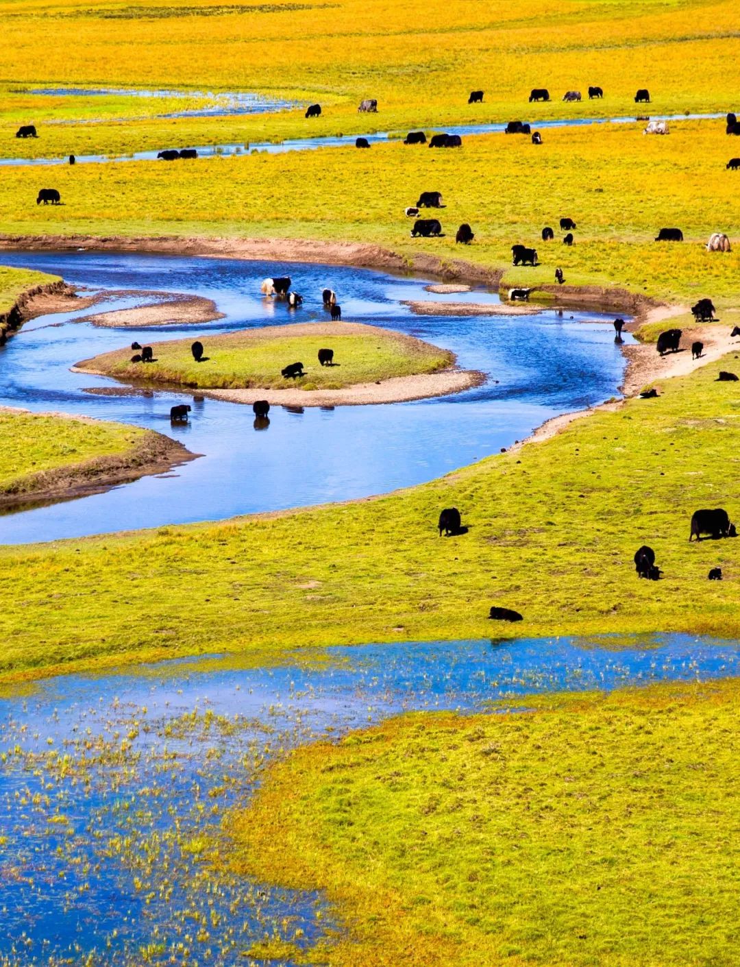 航拍阿坝农村视频,阿坝风景全景视频