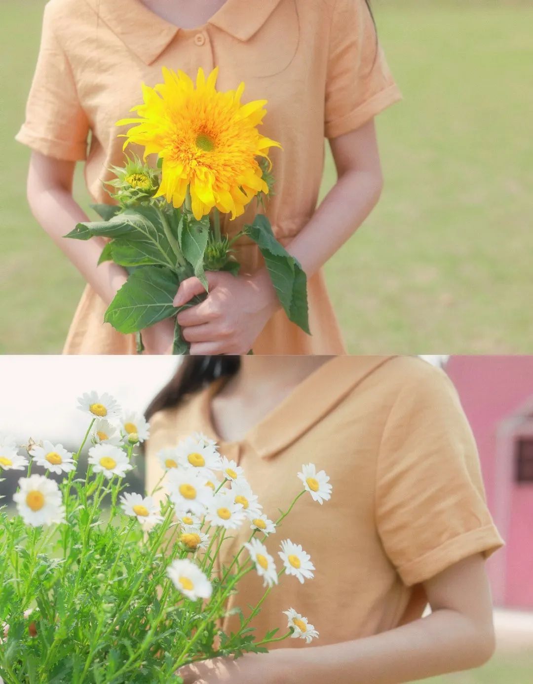 重庆最大的花市需要门票么,重庆最大的花市怎么走