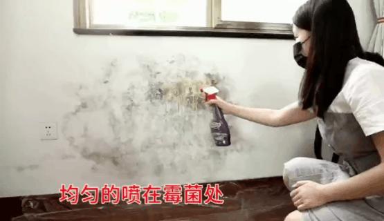 除霉神器,哪些好用又便宜的去霉神器