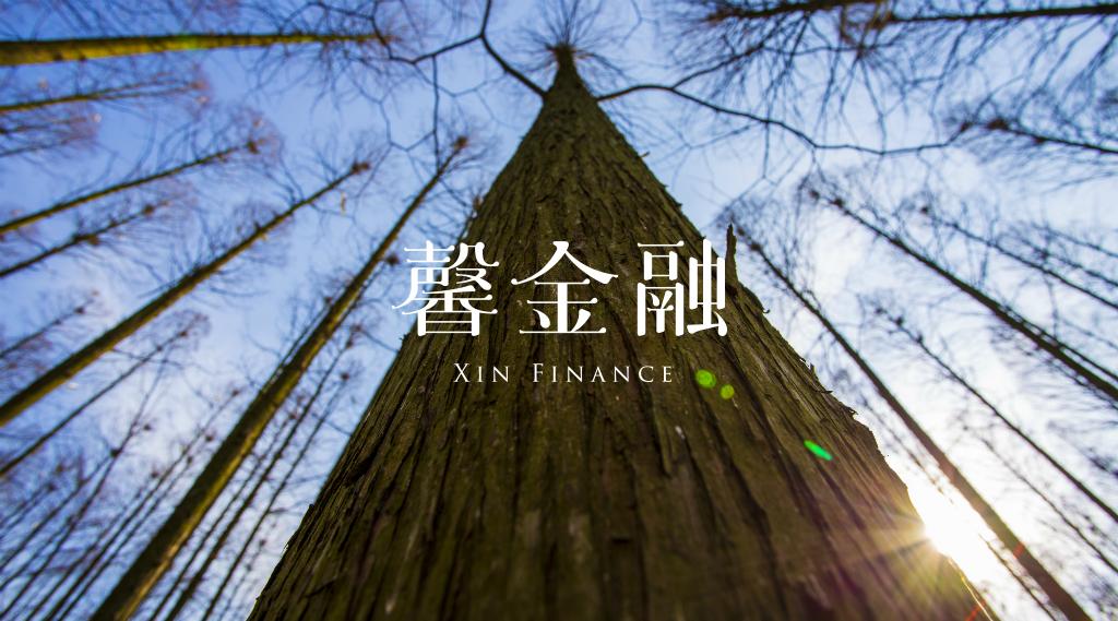 疫情过后抵御风险,疫情后风控