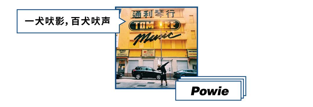 云养猫的品牌有哪些,云养猫设计品牌