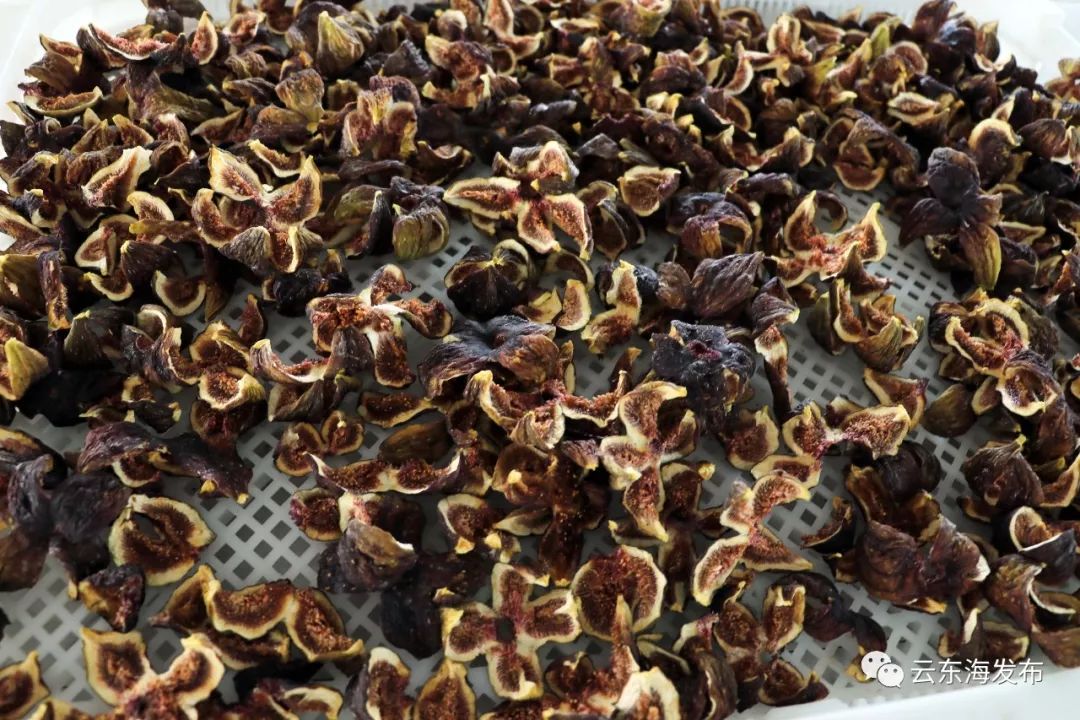 现在卖无花果直播,买无花果直播间