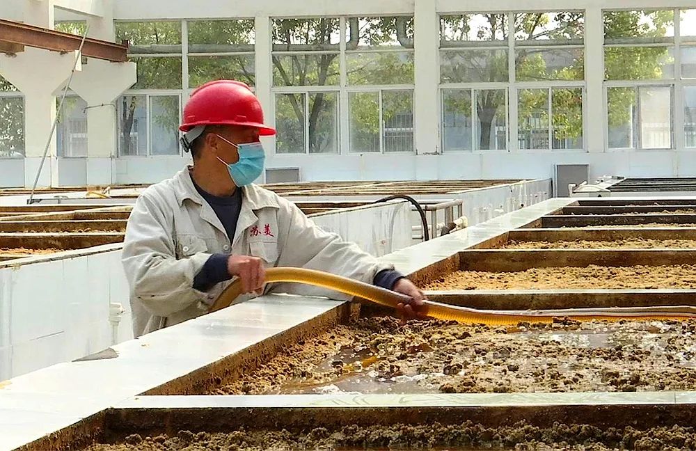 这一仗打好，淮安人吃喝不愁！