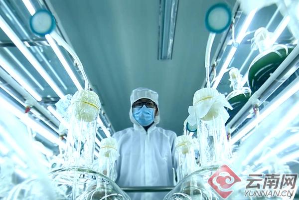 曲靖gdp增量超昆明,曲靖市2022年gdp在全国排名预测