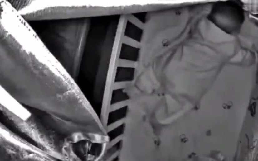 育儿八大谣言家长们需谨记,育儿知识之自然惩罚法则