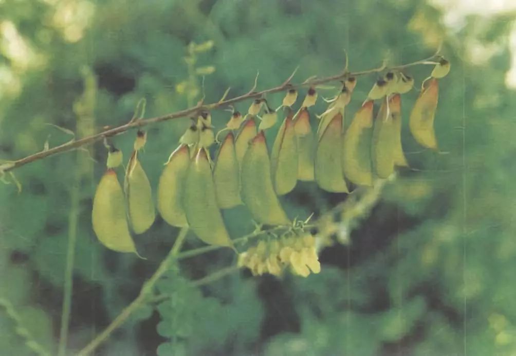 姘村綋褰撶殑鐨偆鎬庝箞鑾峰緱,姘村綋褰撶殑鐨偆