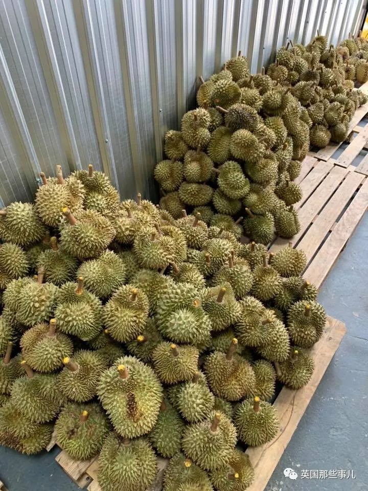 泰国健身教练赤膊卖榴莲走红,泰国健身教练榴莲