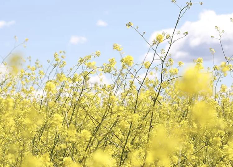 马上查收您的五一出游攻略,内部福利礼包