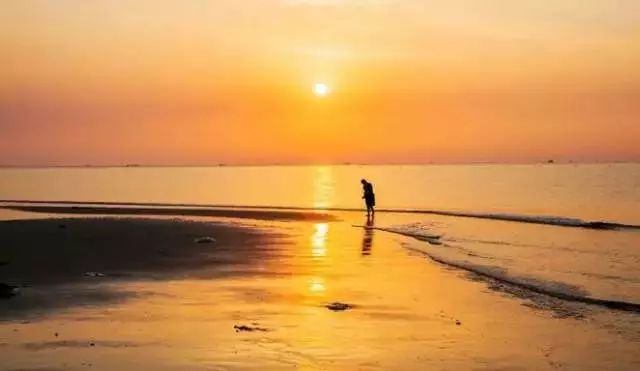 北戴河五一去可以在海边玩吗,五一去北戴河还可以看见海鸥吗