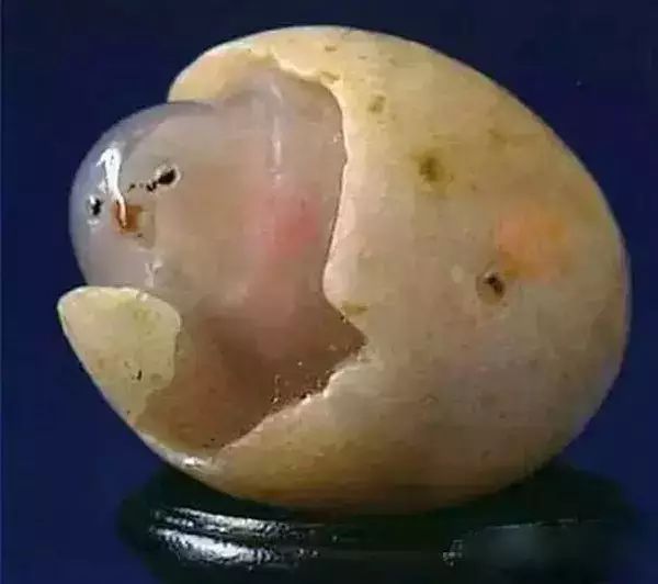 世界上珍贵的瞬间,世界上最珍贵的都是用心感受到的