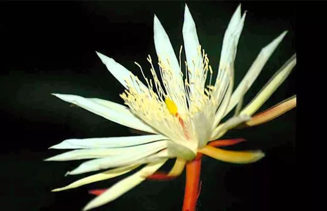 世界上珍贵的瞬间,世界上最珍贵的都是用心感受到的