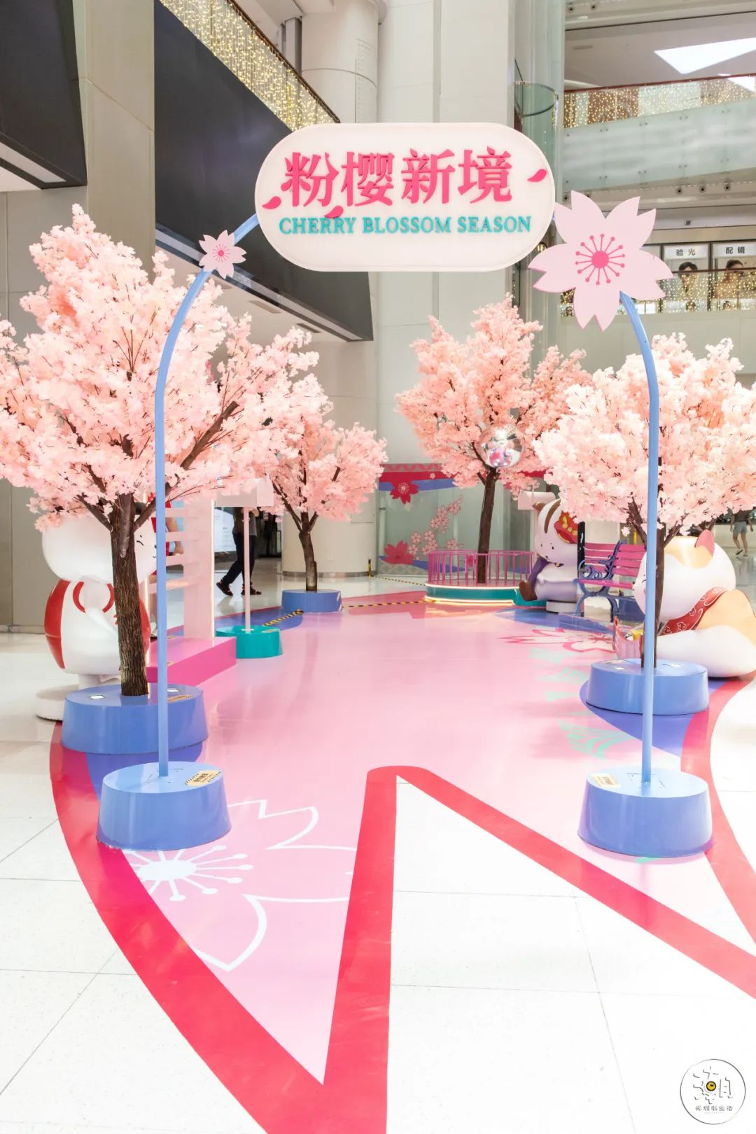 五一打卡超大的油菜花田,五一打卡家门口的花海