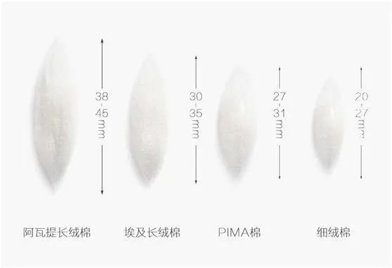白tee缺点,白tee效果怎么样