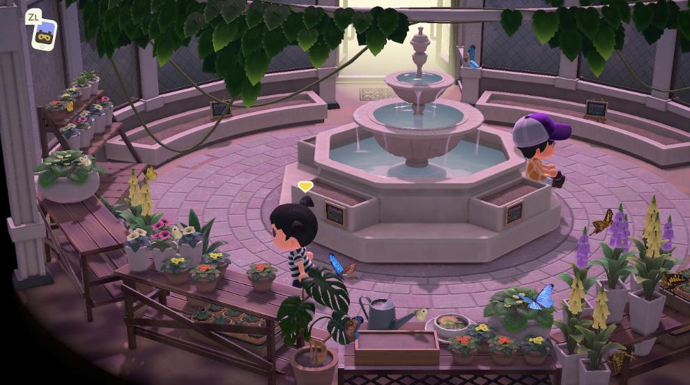 动物森友会玩些什么,动物森友会能2人用一个switch玩么