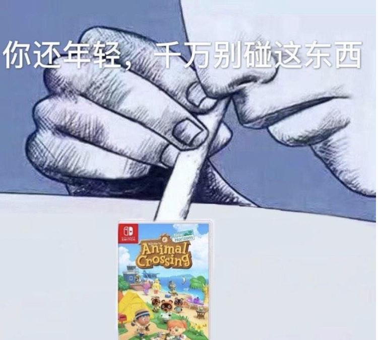动物森友会玩些什么,动物森友会能2人用一个switch玩么