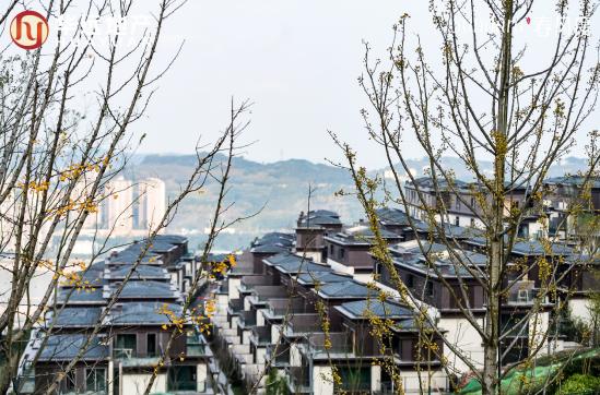 1元钱换套别墅,1元换一栋别墅