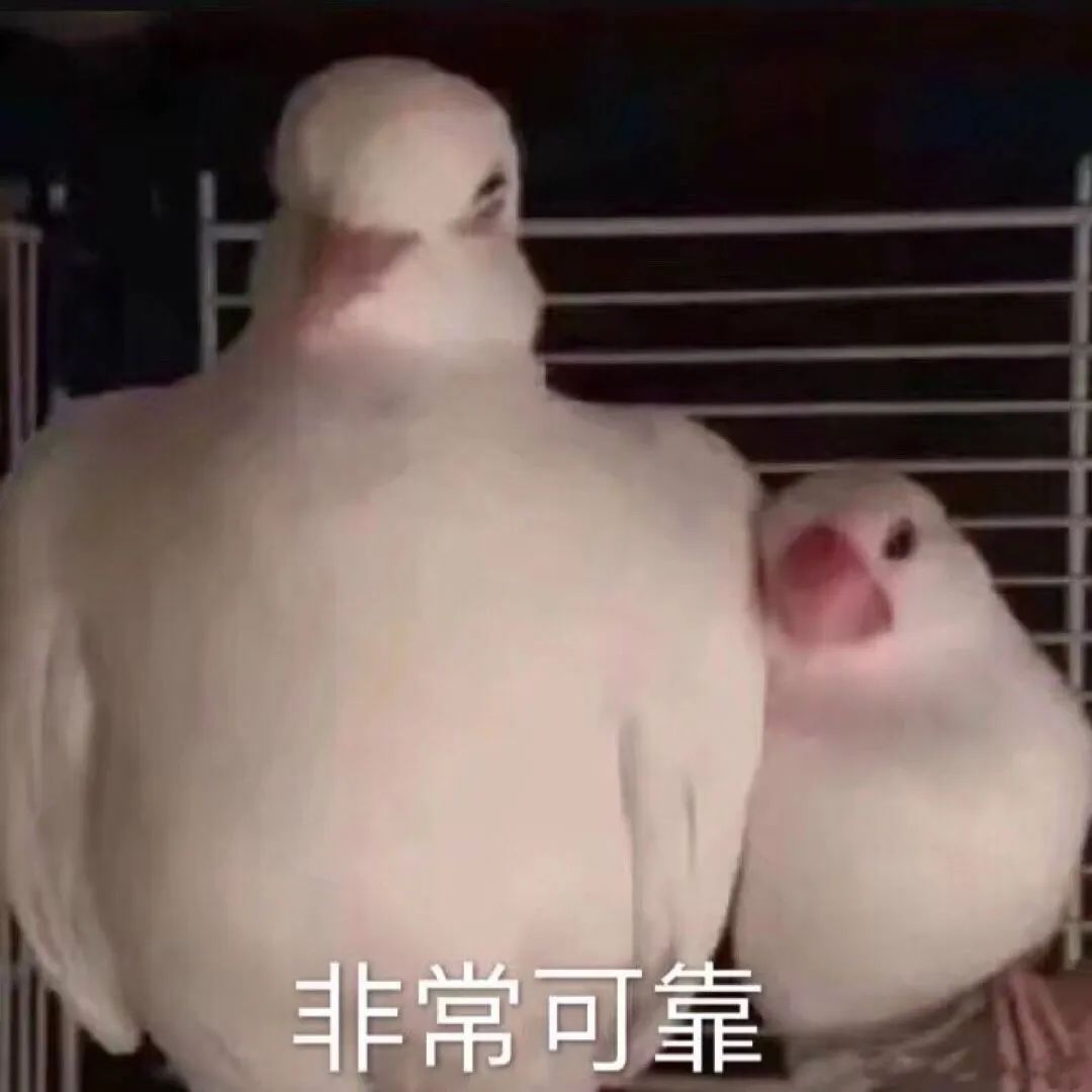 不含芦荟的脱毛膏,猕猴桃脱毛膏排行榜