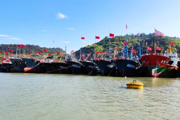 归港休渔！洞头东沙渔港百艘渔船返港