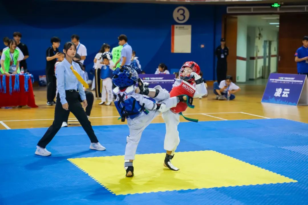 番禺区体育社会组织,体育社会组织