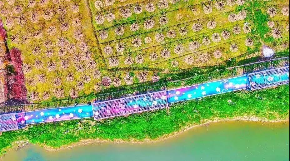 健身步道最新视频,健身走起跟着节奏嗨起来