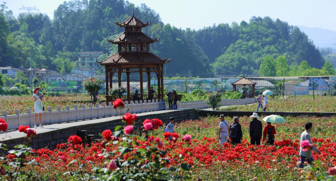 重庆避开人群攻略,重庆周边小众旅游线路