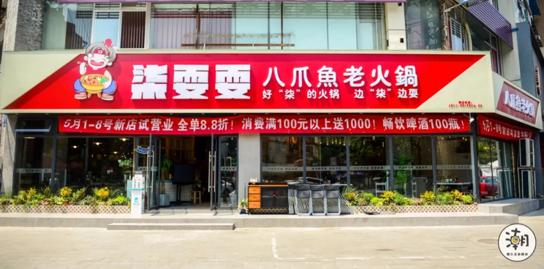 怎么处理八爪鱼,遇到八爪鱼怎么拔牙齿