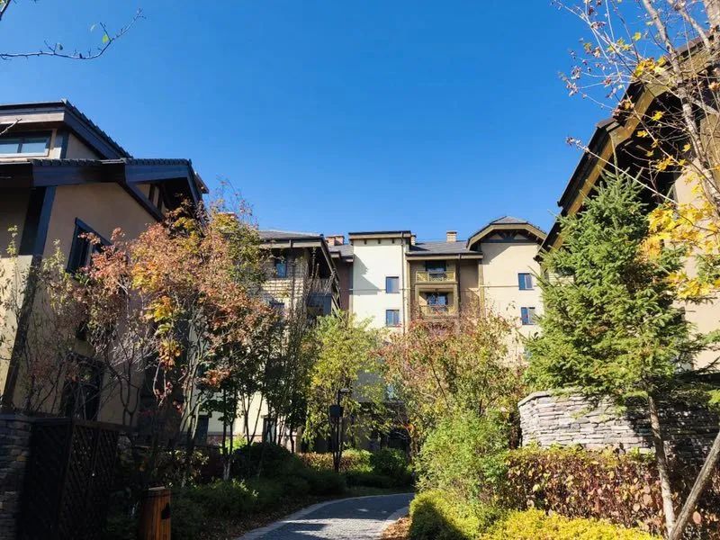 松鼠窝客栈长白山,松鼠专用窝保暖木屋