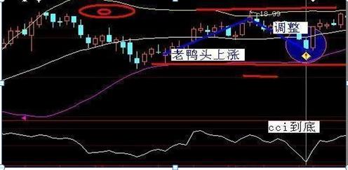 股市暗语1001,股市暗语99