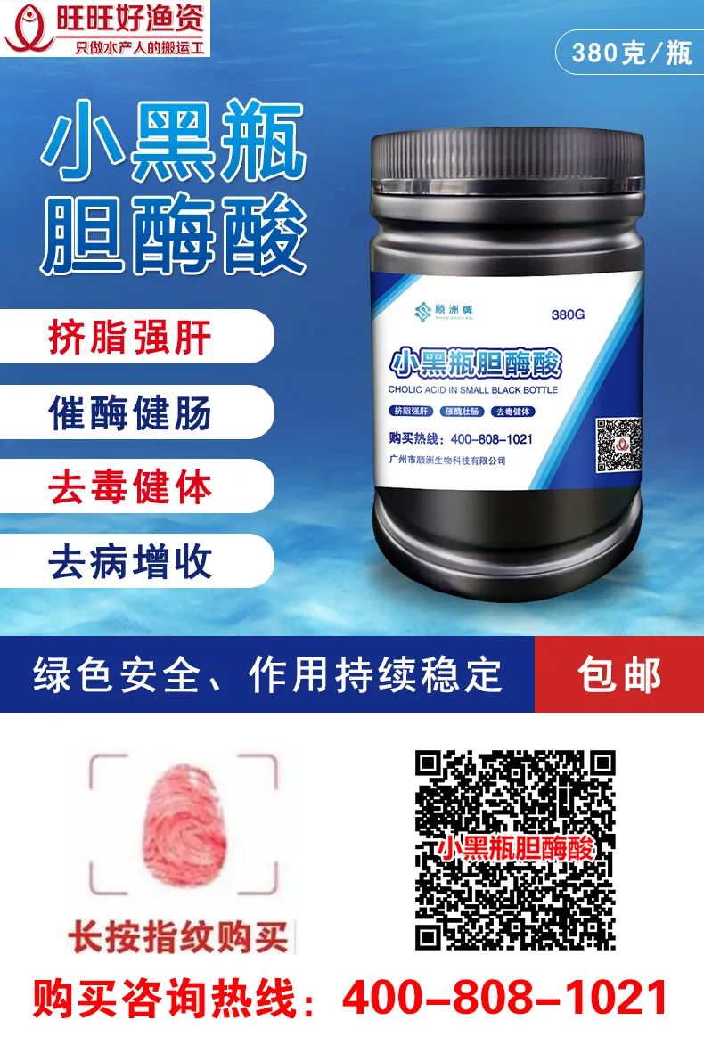 高温天气,南美白对虾“肠炎、拖便”频发,如何才能安稳度过肠炎高发期?