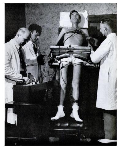 节食减肥饥荒效应,节食减肥饥荒