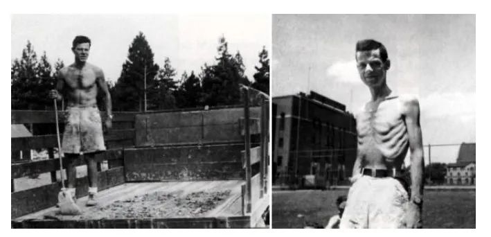 节食减肥饥荒效应,饥饿试验节食减肥后遗症