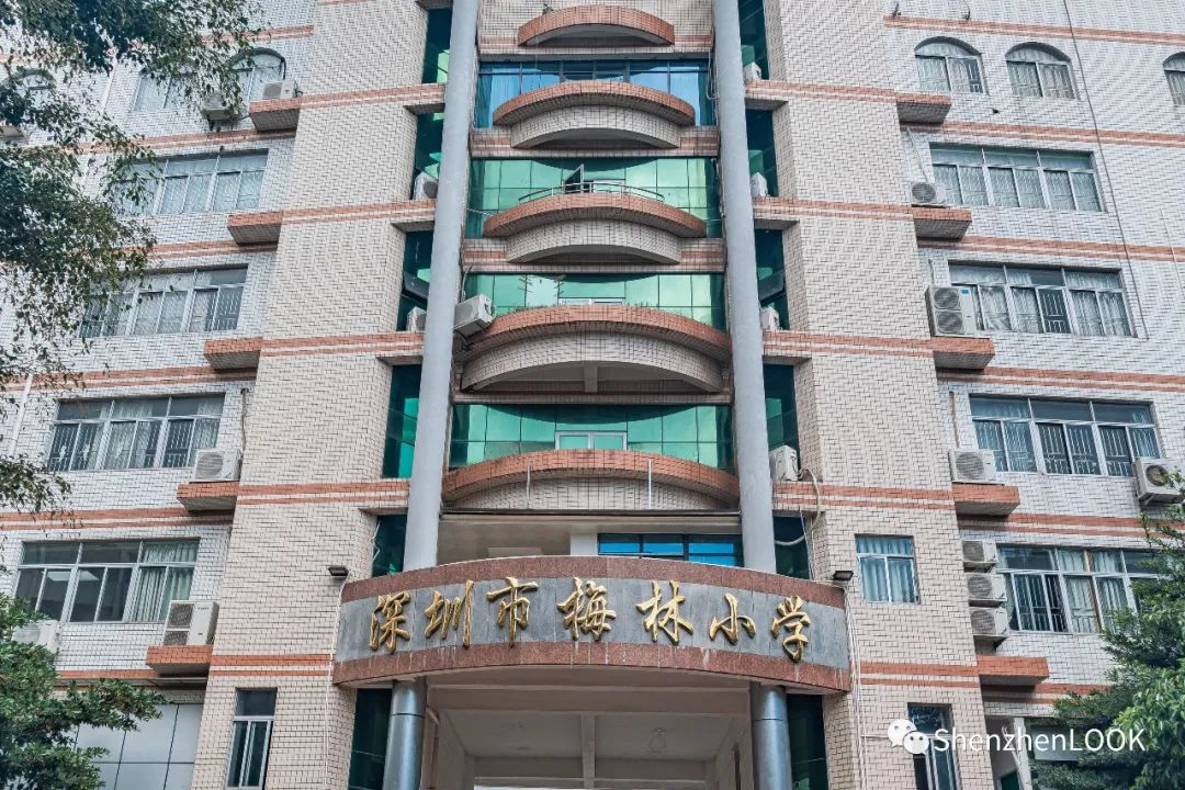 严浩翔说look这是tnt什么舞台,look这是什么牌子的包包