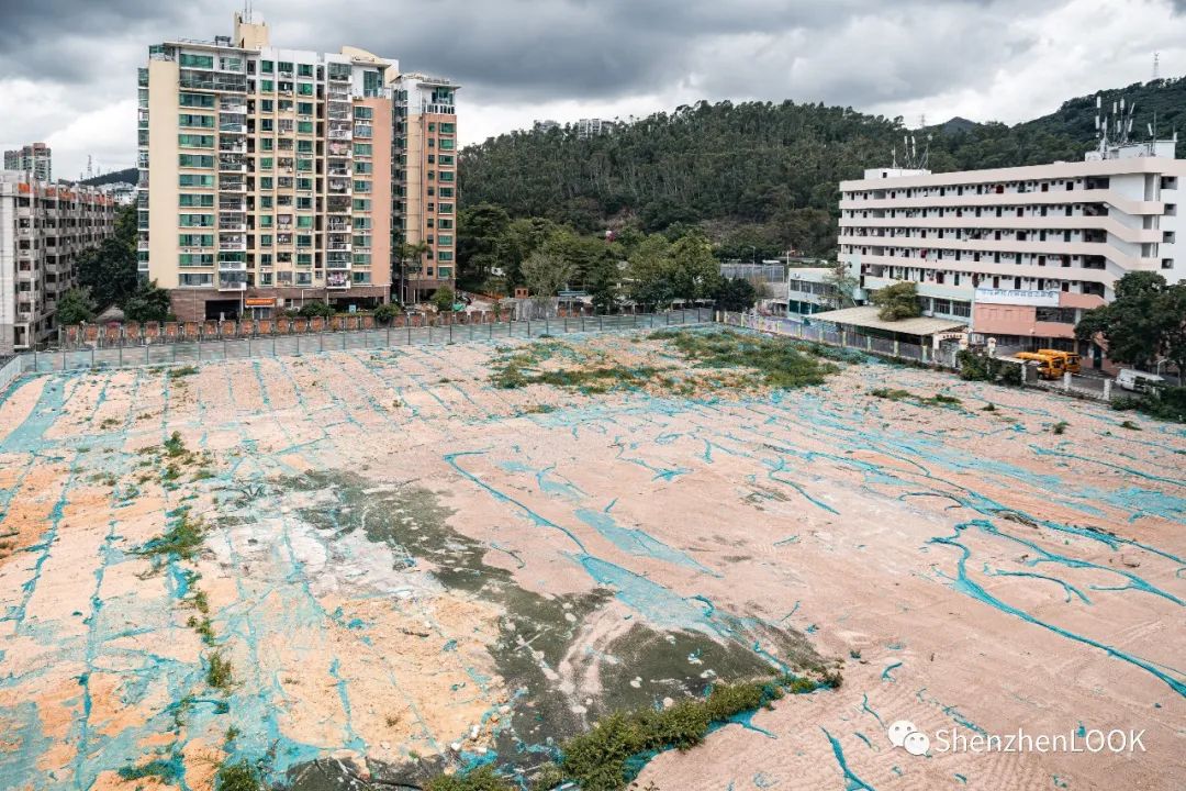 look这是什么牌子的包包,严浩翔说look这是tnt什么舞台