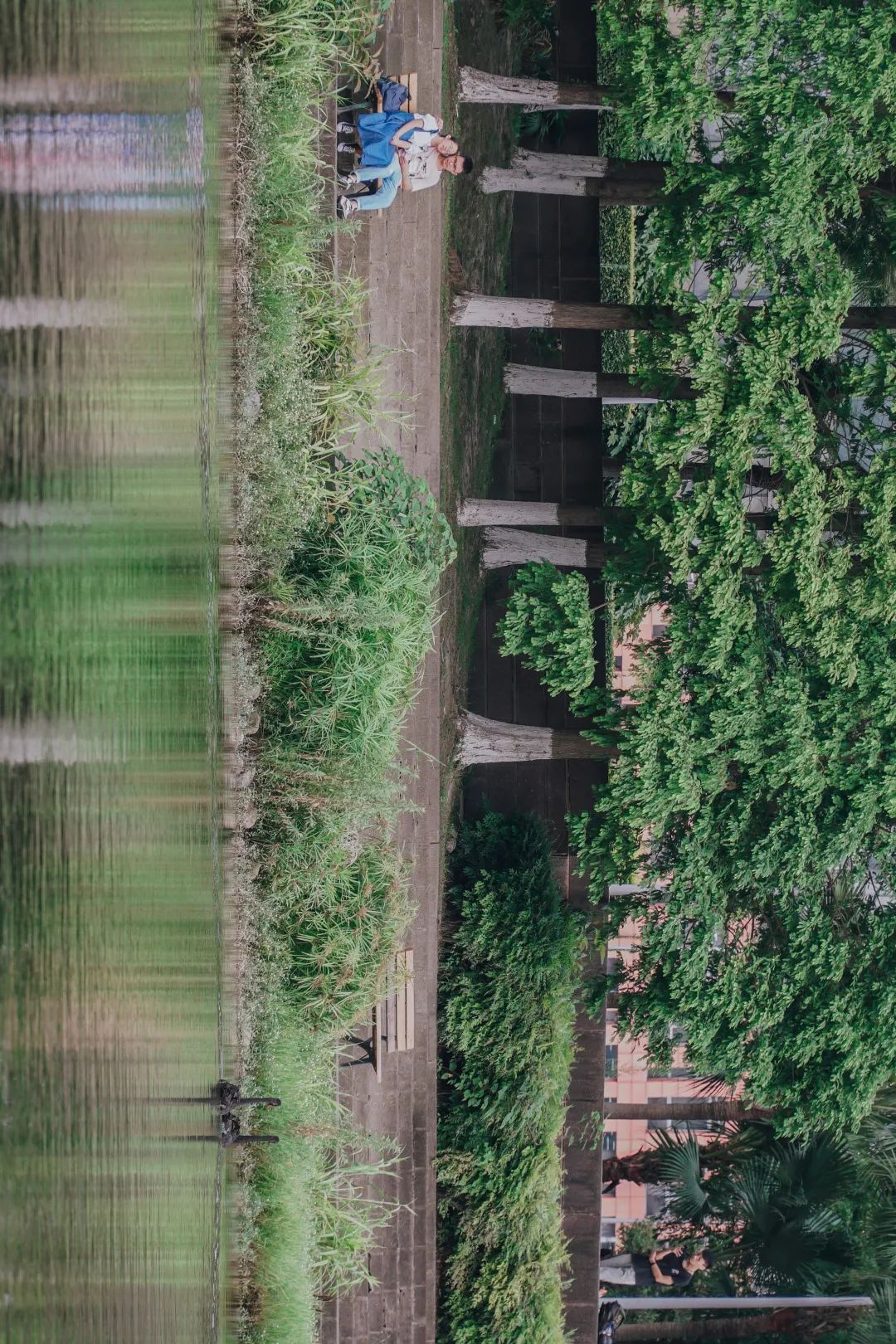 川大江安全景,川大江安校区地图高清