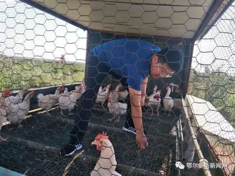 东胜村子奔小康路上,有好多企业来帮忙