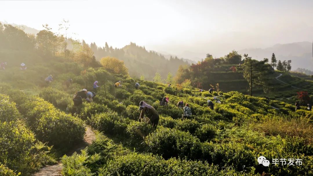 脱贫路上继续前行,脱贫攻坚乡村行