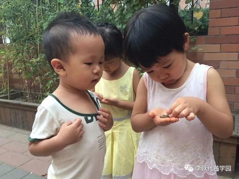 妈妈,我们为什么要吃牛肉,牛会不会疼?