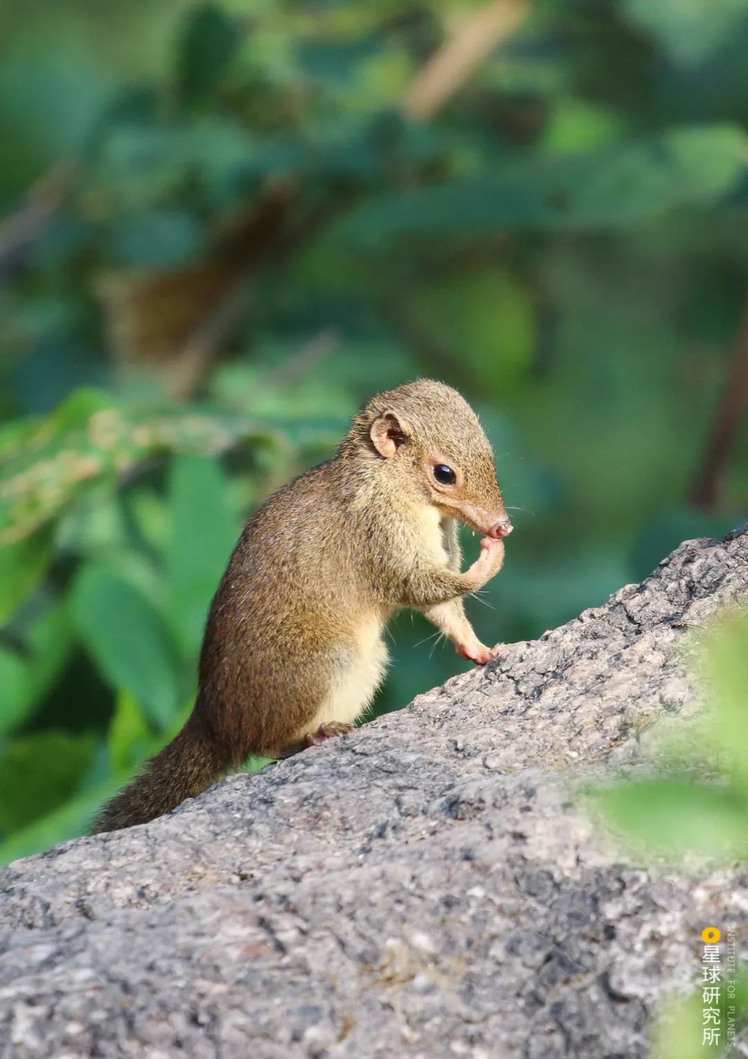 云南红河景色迷人,云南红河州哪些地方自然风光美